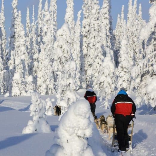 Snowmobile and Husky Safari at Iso-Syöte: 3-Hour Winter Adventure from Hilltop Hotel