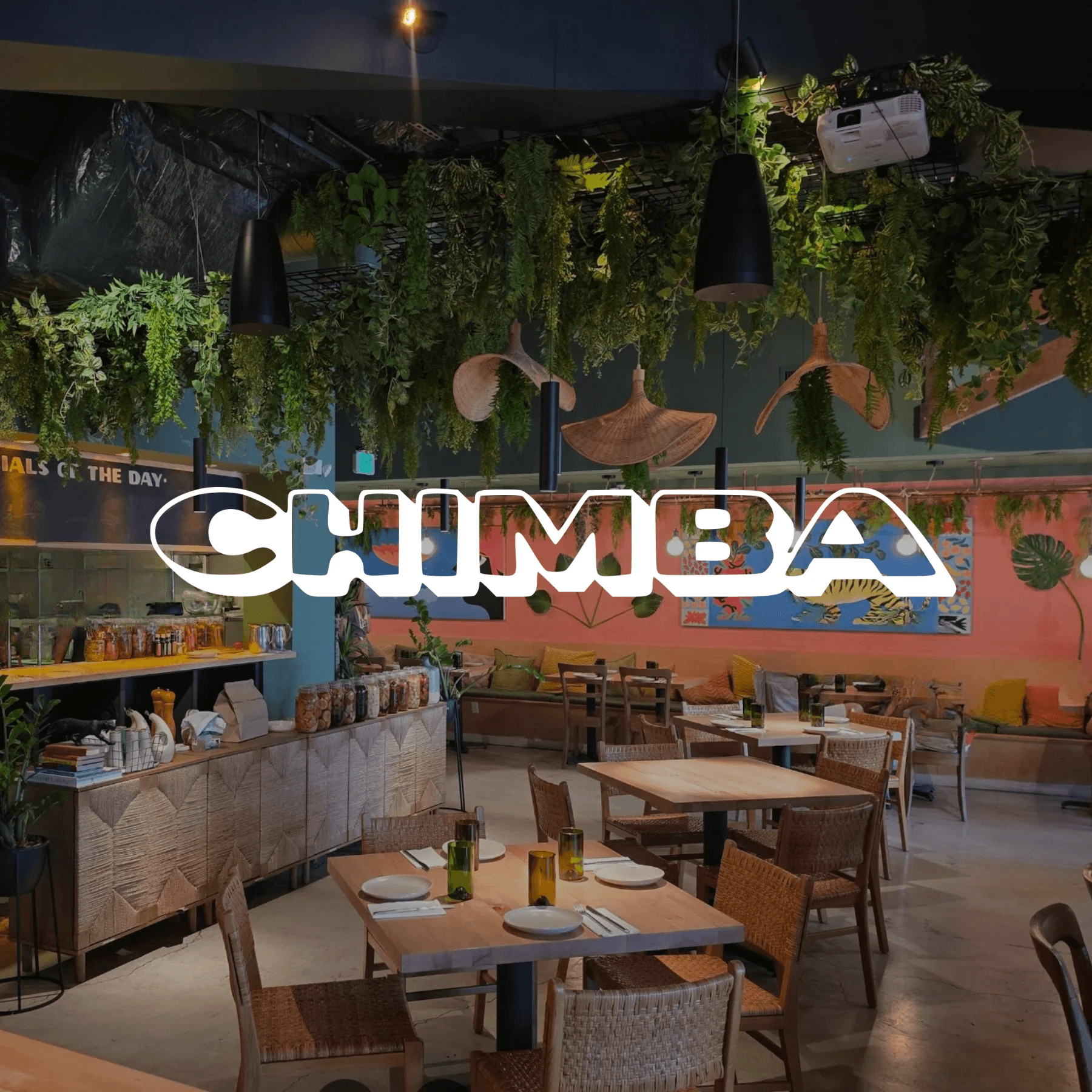 Create a Tiny Tree at Bonsai Bar @ Chimba — Hands-On Bonsai Workshop in Miami