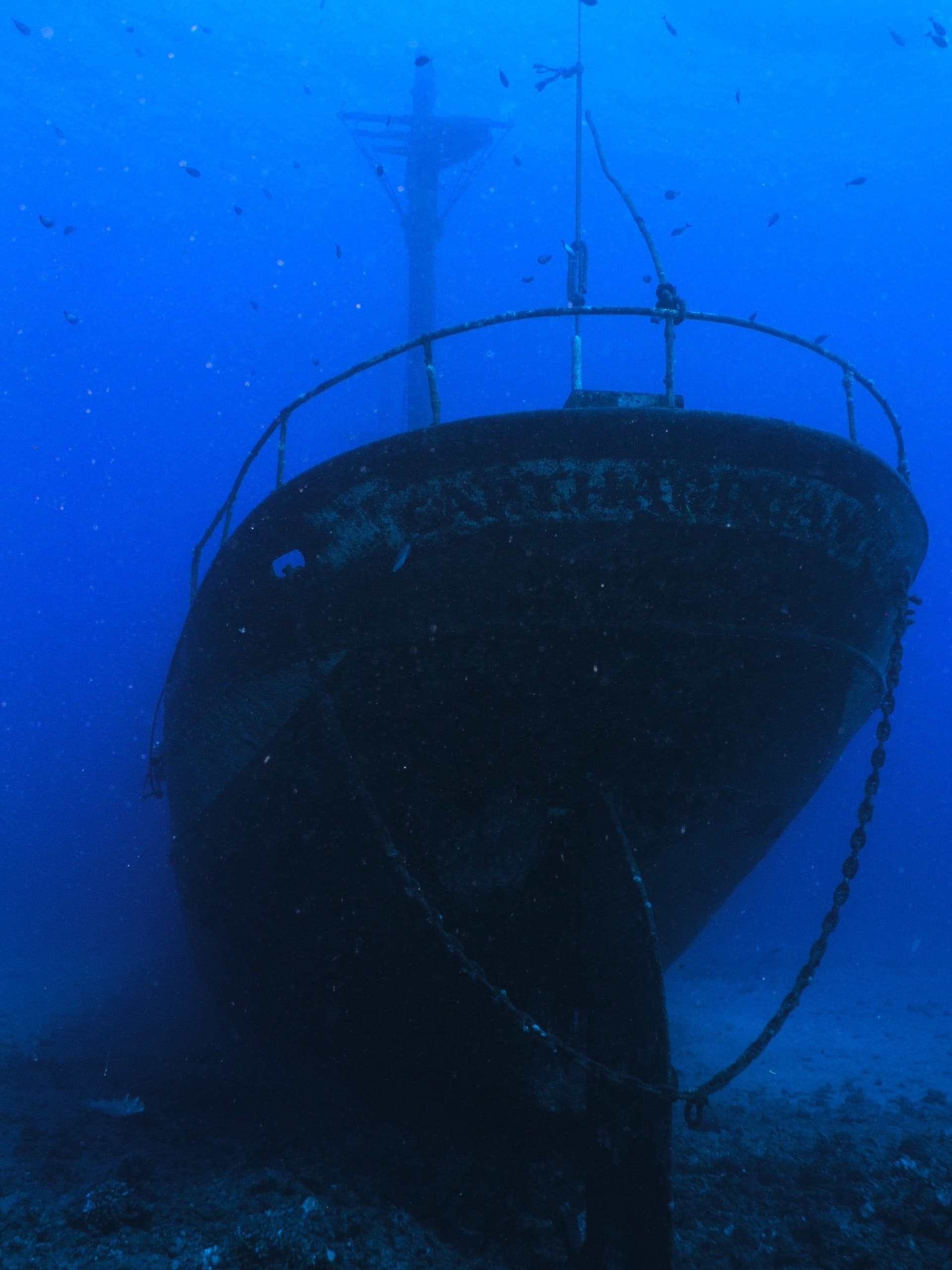 Maui Wreck Dive: Explore the Carthaginian Shipwreck from Lahaina Harbor photo 2