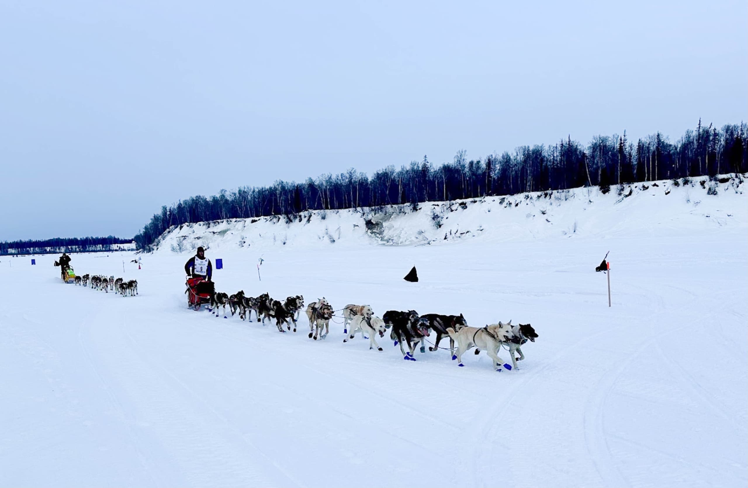 Soar Above the Iditarod: An Unforgettable Aerial Adventure in Talkeetna, Alaska