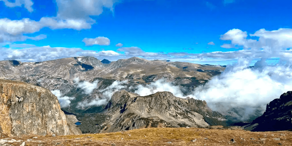 Yellowstone Wildlife Safari & Beartooth Pass Adventure
