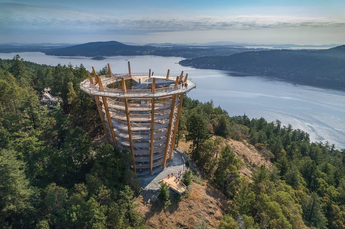 Skywalk to Cellar: Malahat Ridge & Cowichan Valley Wine Tour from Victoria photo 1