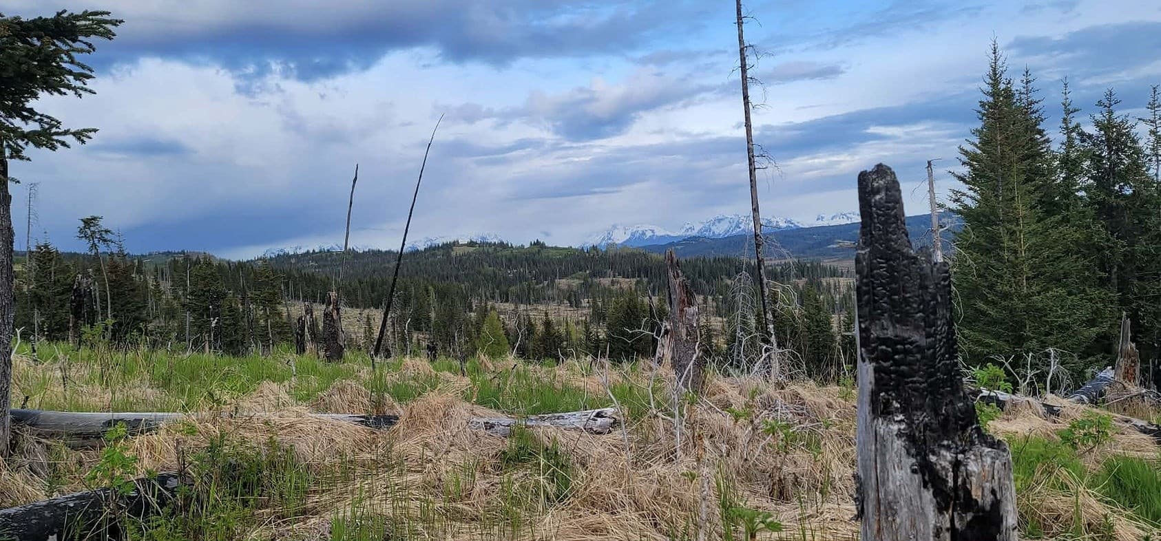 Evening ATV Beach Ride Along Kachemak Bay in Homer, Alaska photo 2