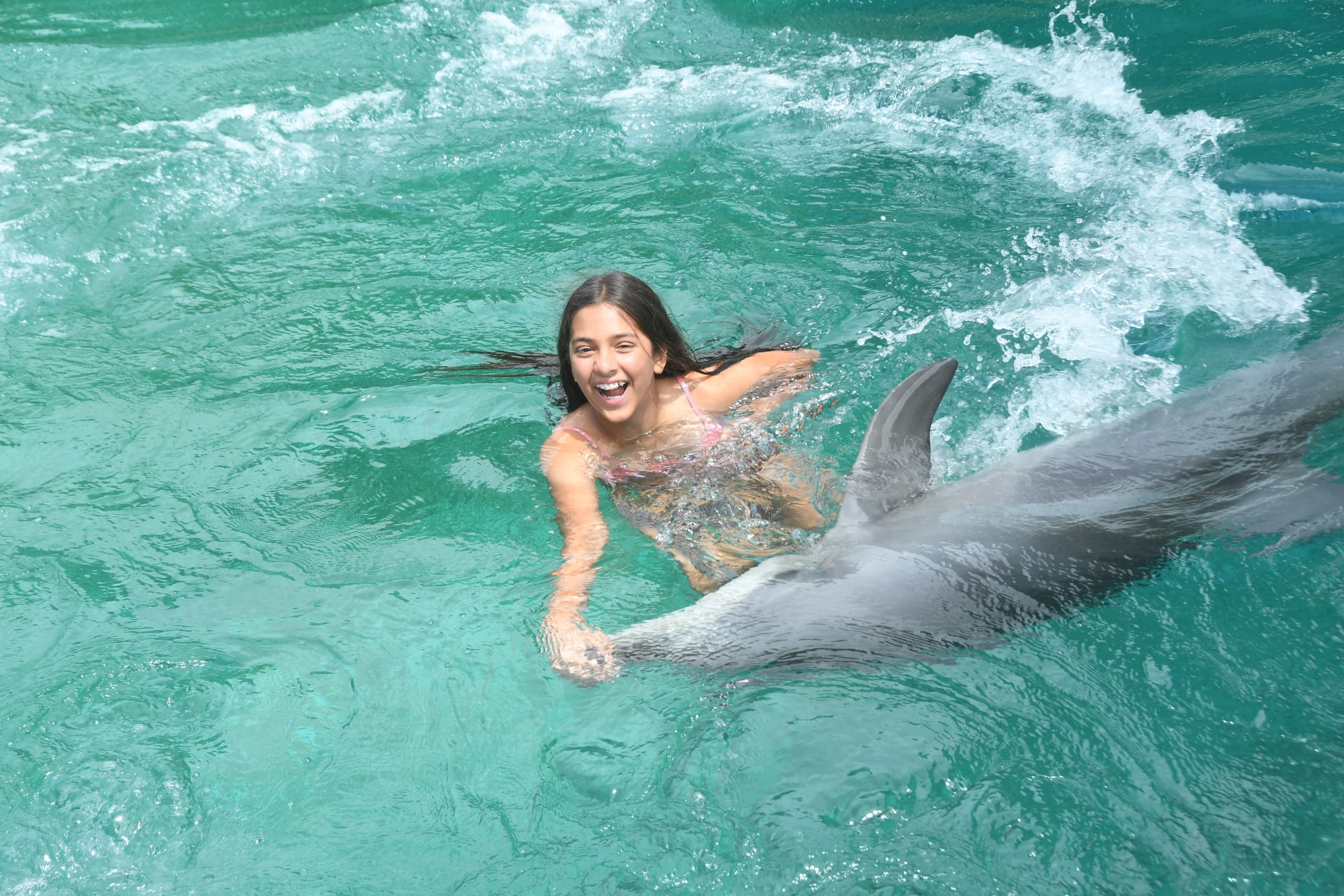 Ultimate Dolphin Encounter at Coffs Coast Wildlife Sanctuary