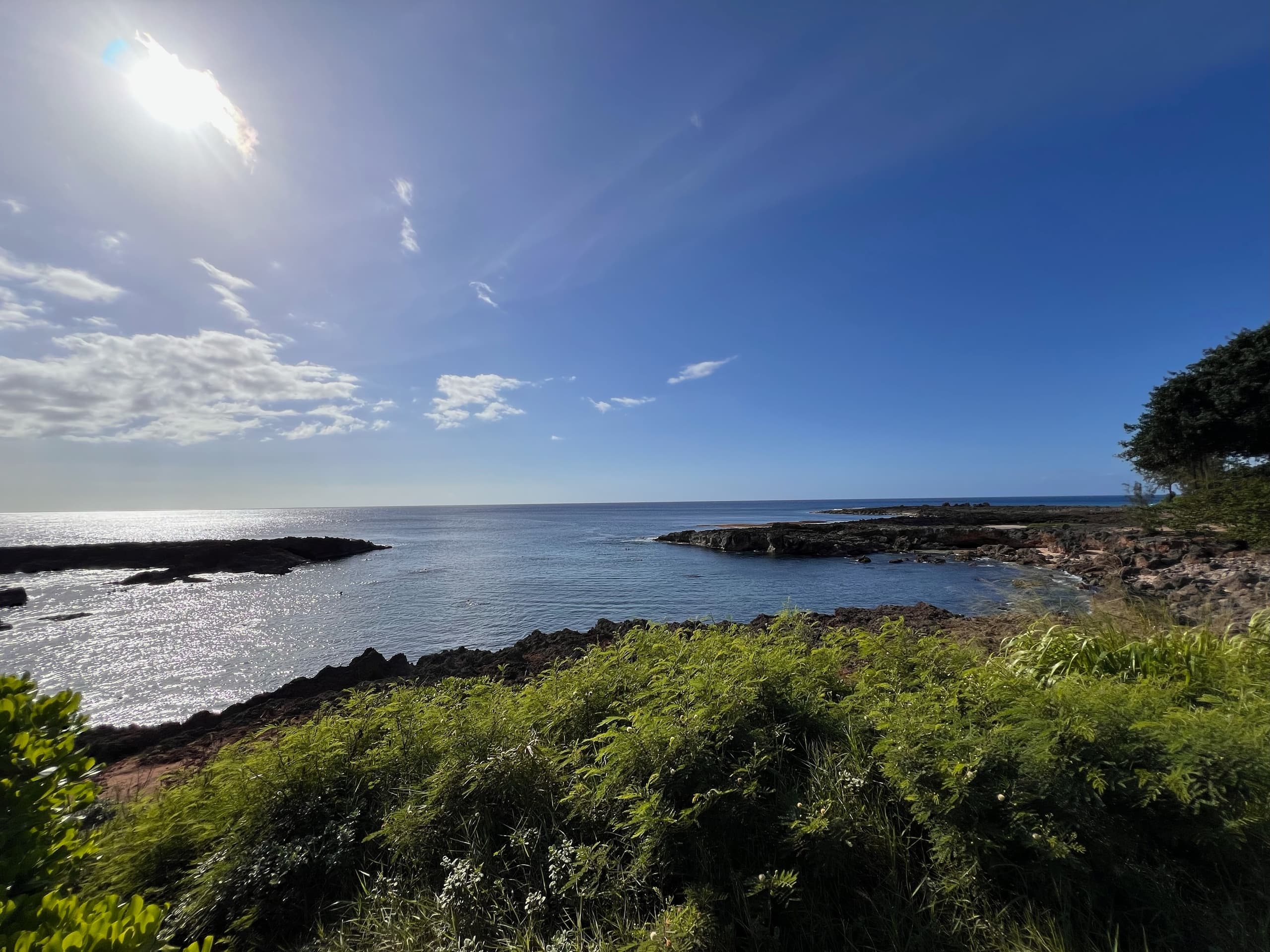 Explore Oahu’s West Coast: West Side Boat Dive into Vibrant Coral Reefs