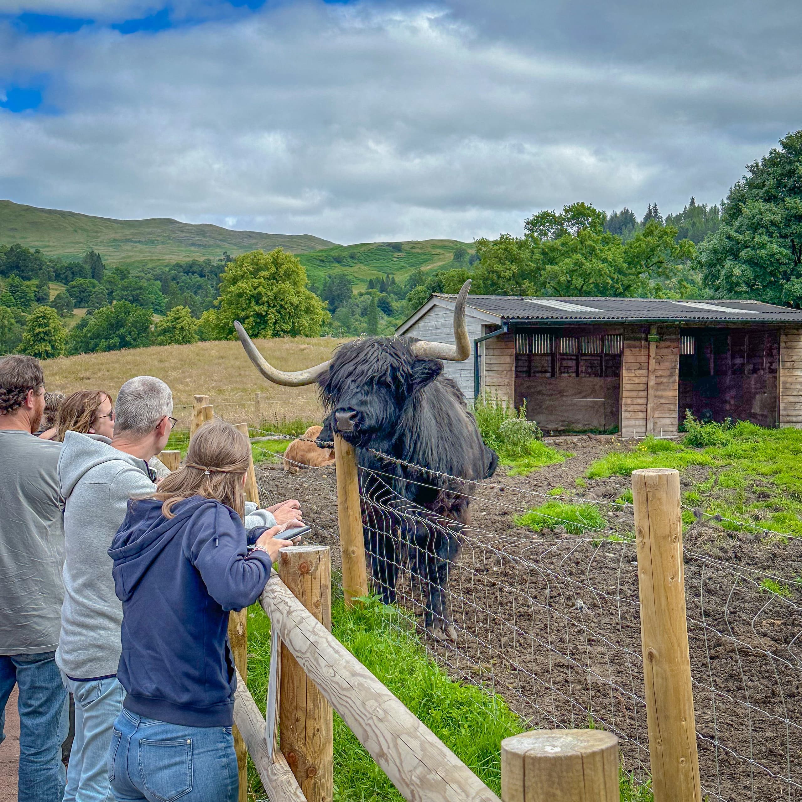 Land Adventures in Scotland: Stirling & Loch Lomond with Anderson Scottish Travel