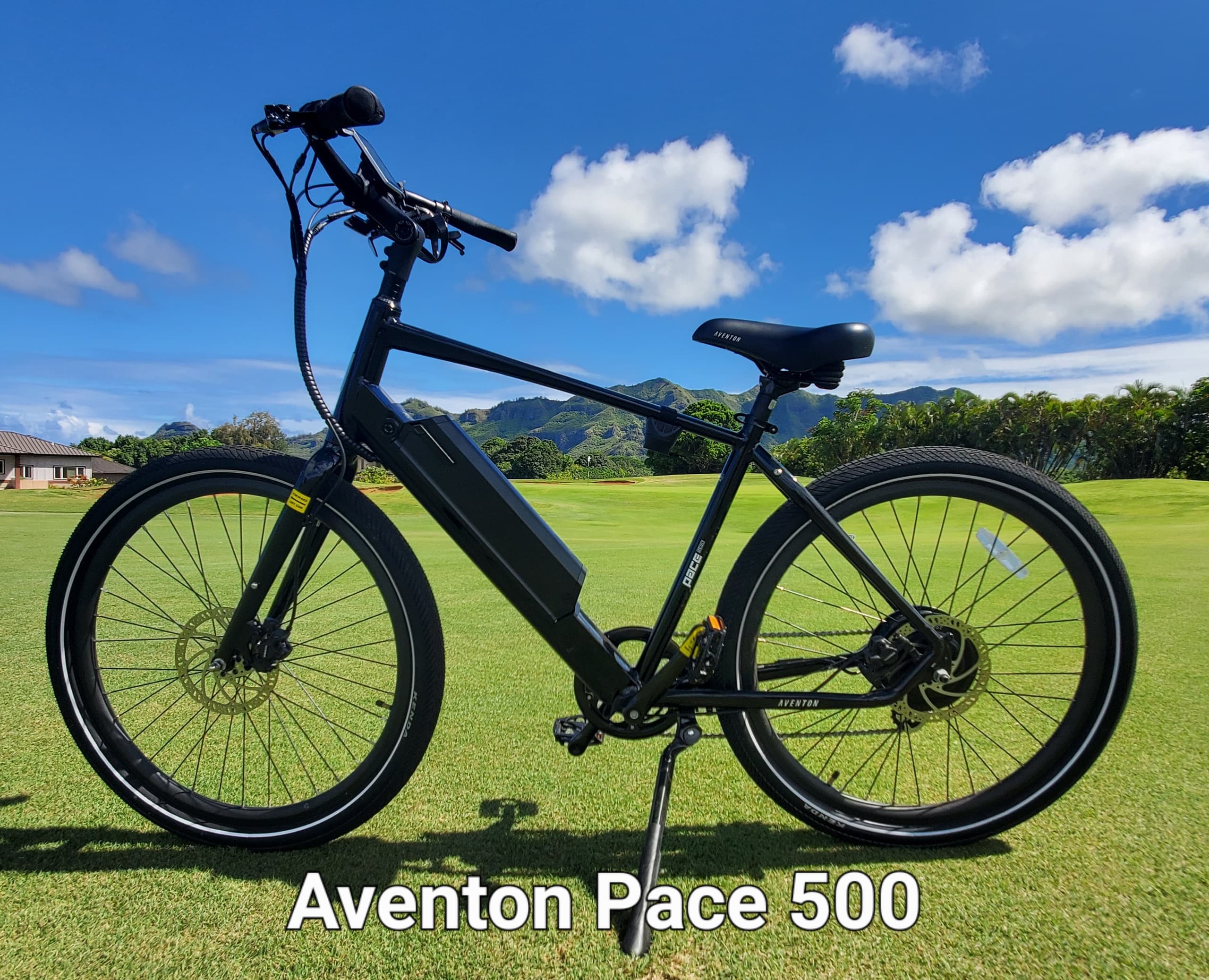 Ebike Rentals in Koloa with Kauai Ebikes: Adventure on Two Wheels