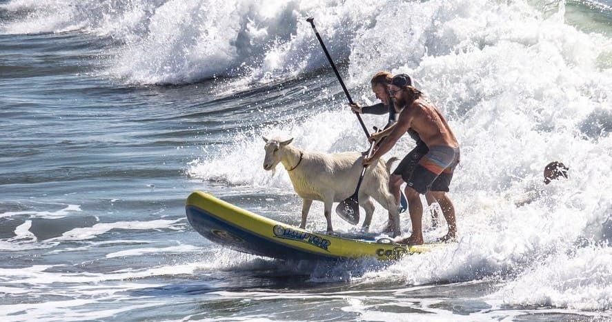 Private Surf & SUP Lessons at Pismo Beach, California