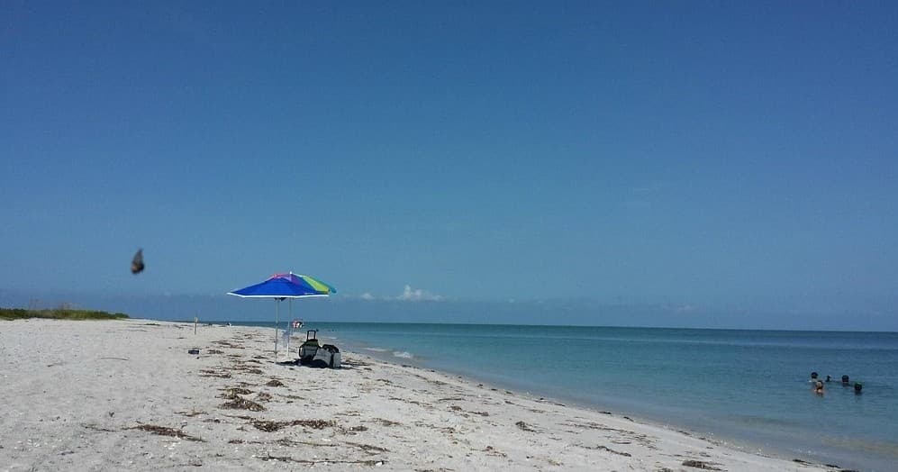 Beach-Ready Umbrella Rentals on Cayo Costa: Shade, Shelling & Wild Gulf Vistas