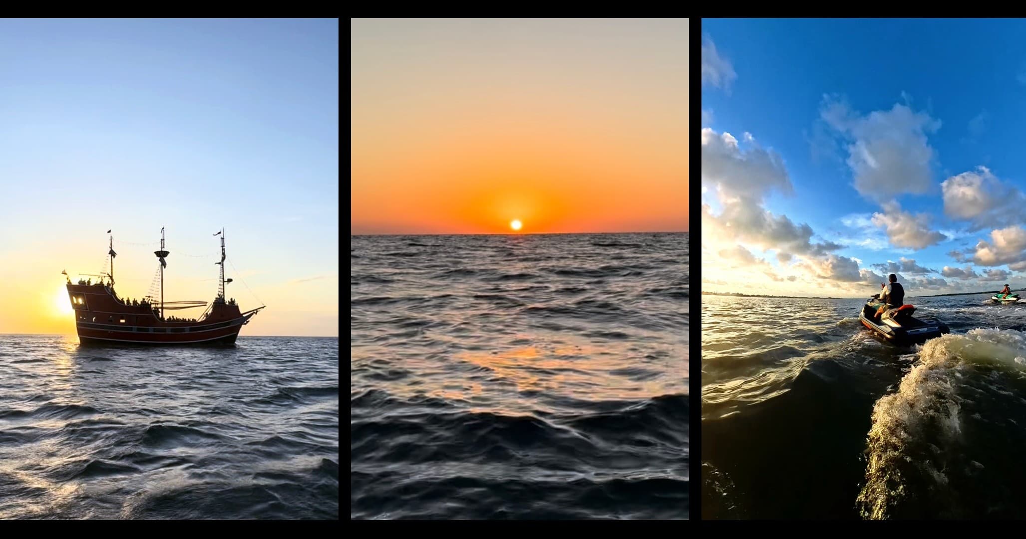 Sunset Dolphin Tour by Anchors Up Adventures in Dunedin