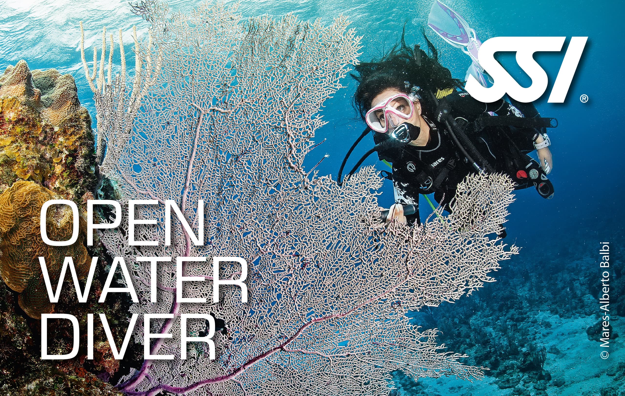 Open Water Diver Course by Rich Coast Diving in Coco
