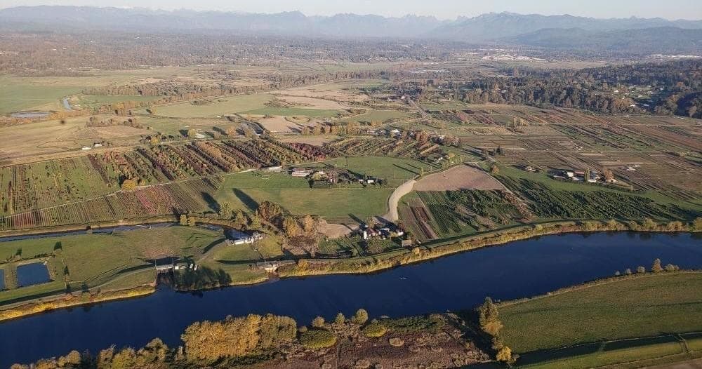 Aerial Adventures with Sunrise Morning Flight in Balloon Depot