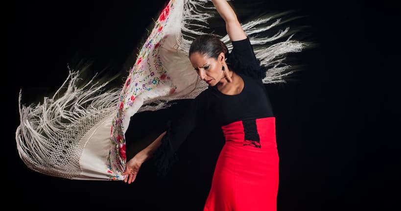 Granavision Excursions: Alhambra Tour & Flamenco in Granada