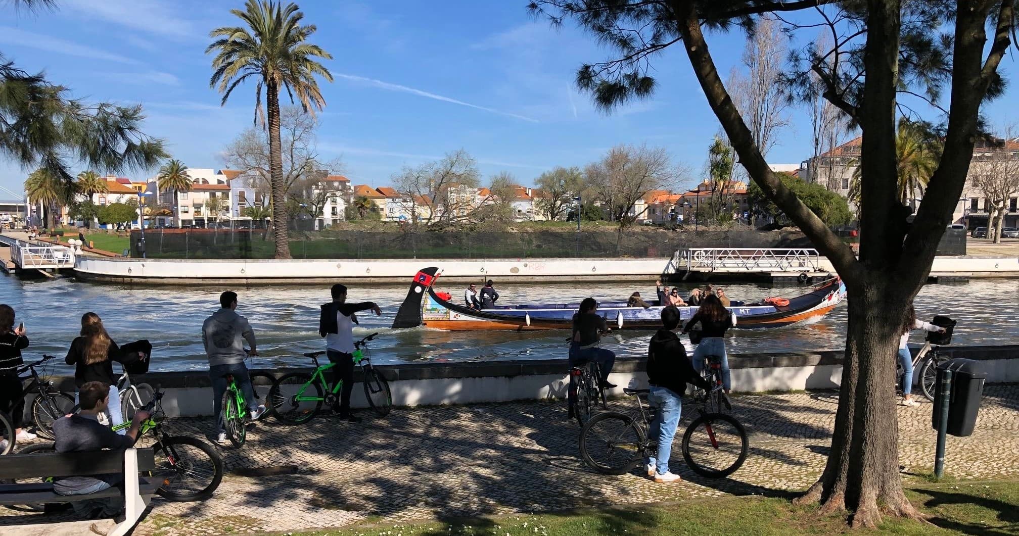 Cycling Adventures with Biclaria in the City