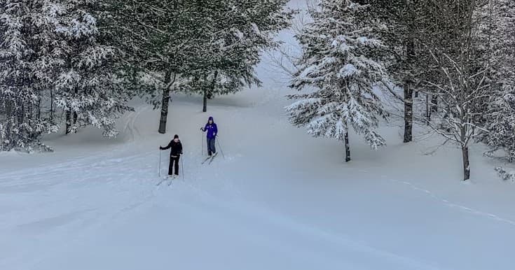 Glacier Point Ski Hut: Guided Overnight Cross-Country Ski Trip from Badger Pass