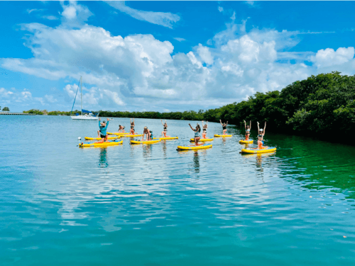 Master Stand-Up Paddleboarding and SUP Yoga with Intensive Training in Dania Beach