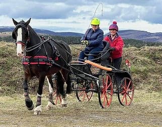 Horse-drawn carriage driving across open Highland moorland