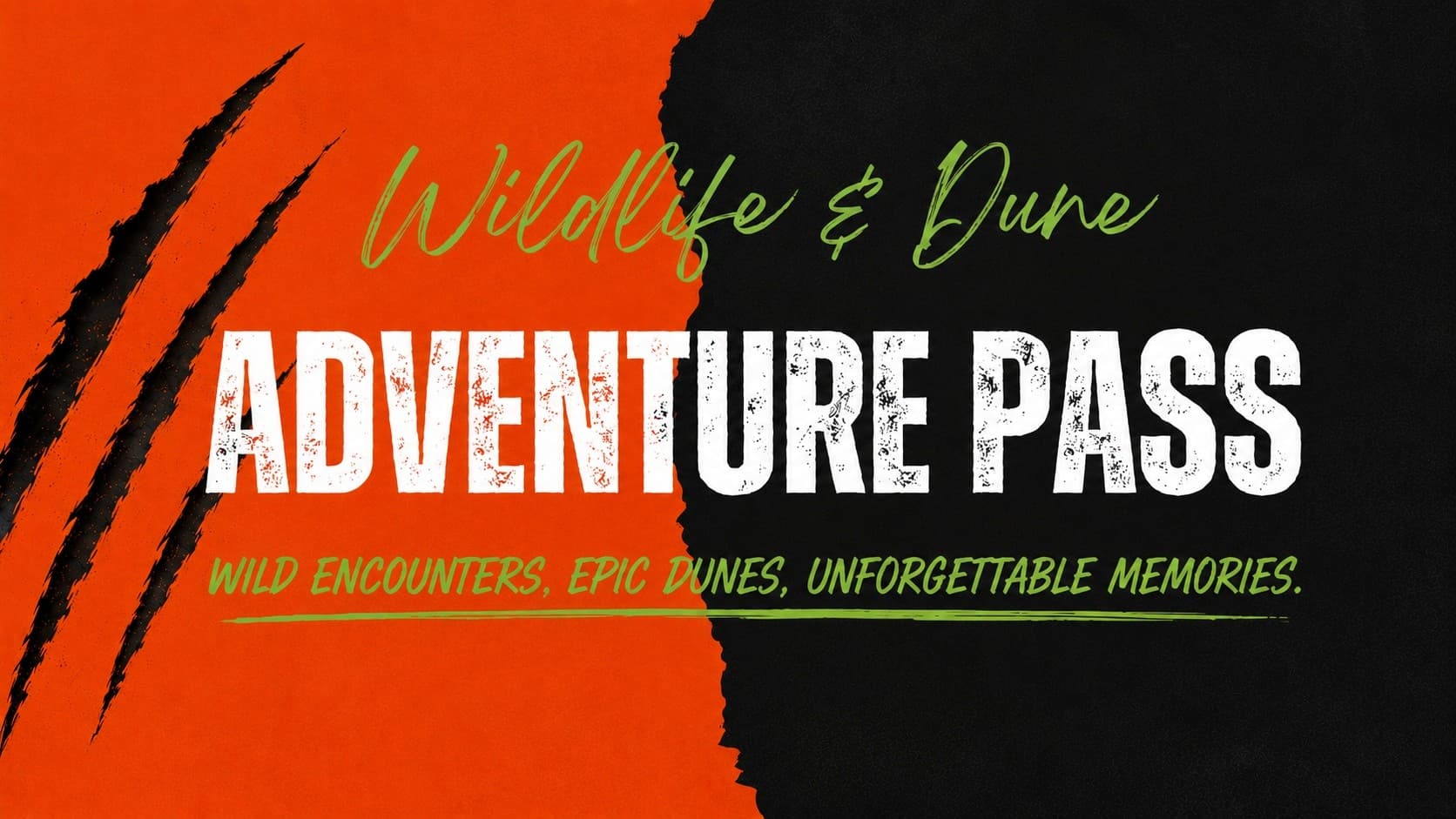 Wildlife and Dune Adventure Pass: Sandboarding in Anna Bay and Oakvale Wildlife Park, Port Stephens
