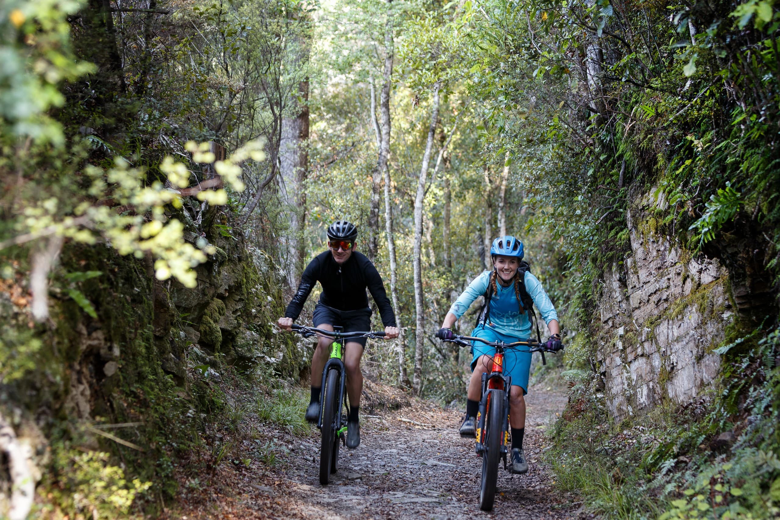 Codgers / Silvan Guided MTB Tour — Nelson's Coastal & Forest Singletrack