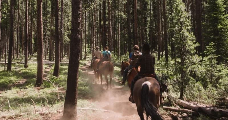 Deadwood Outfitters fleet