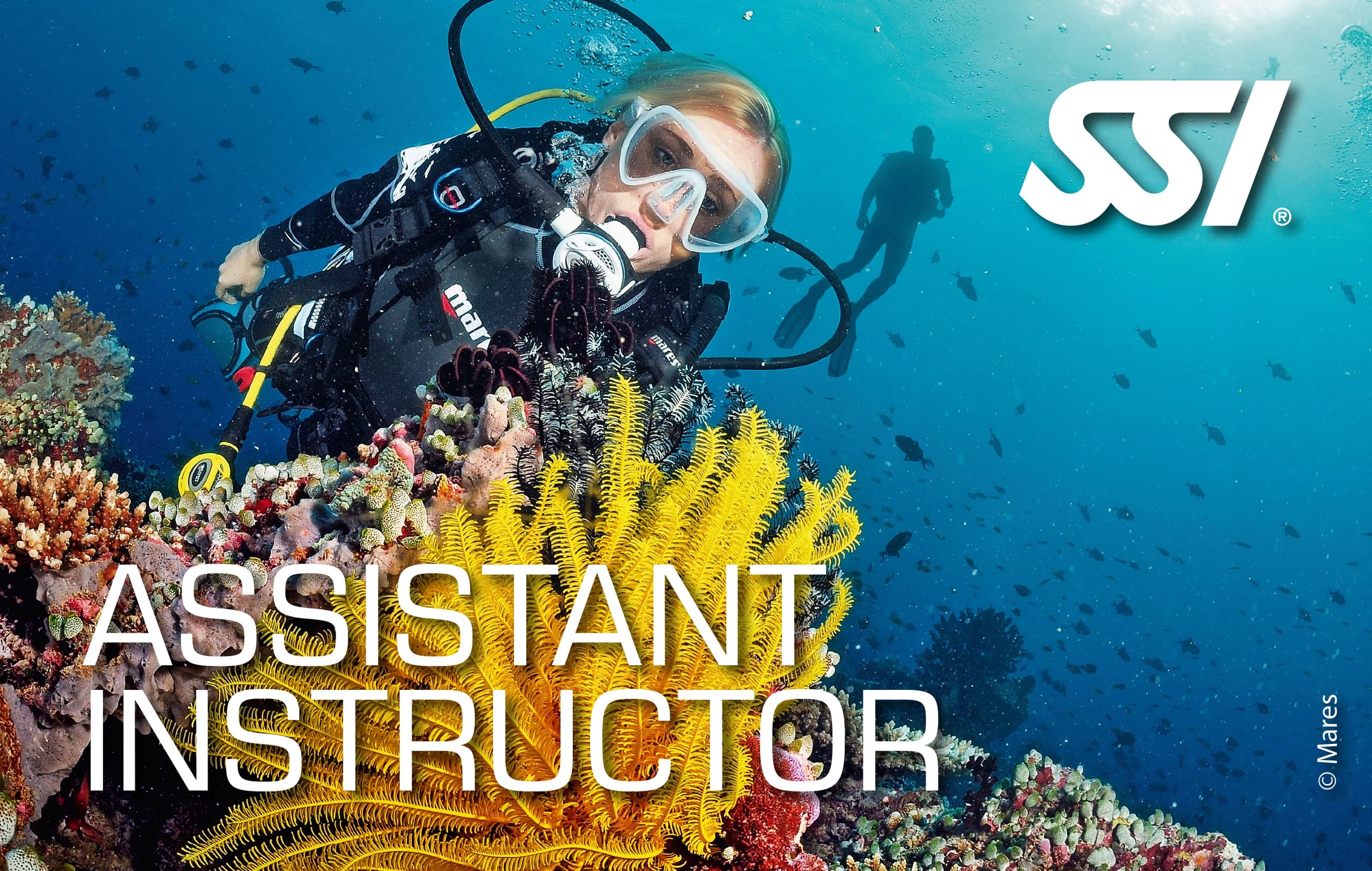 Assistant Instructor Dive Training at Paragon Diving in Big Pine Key