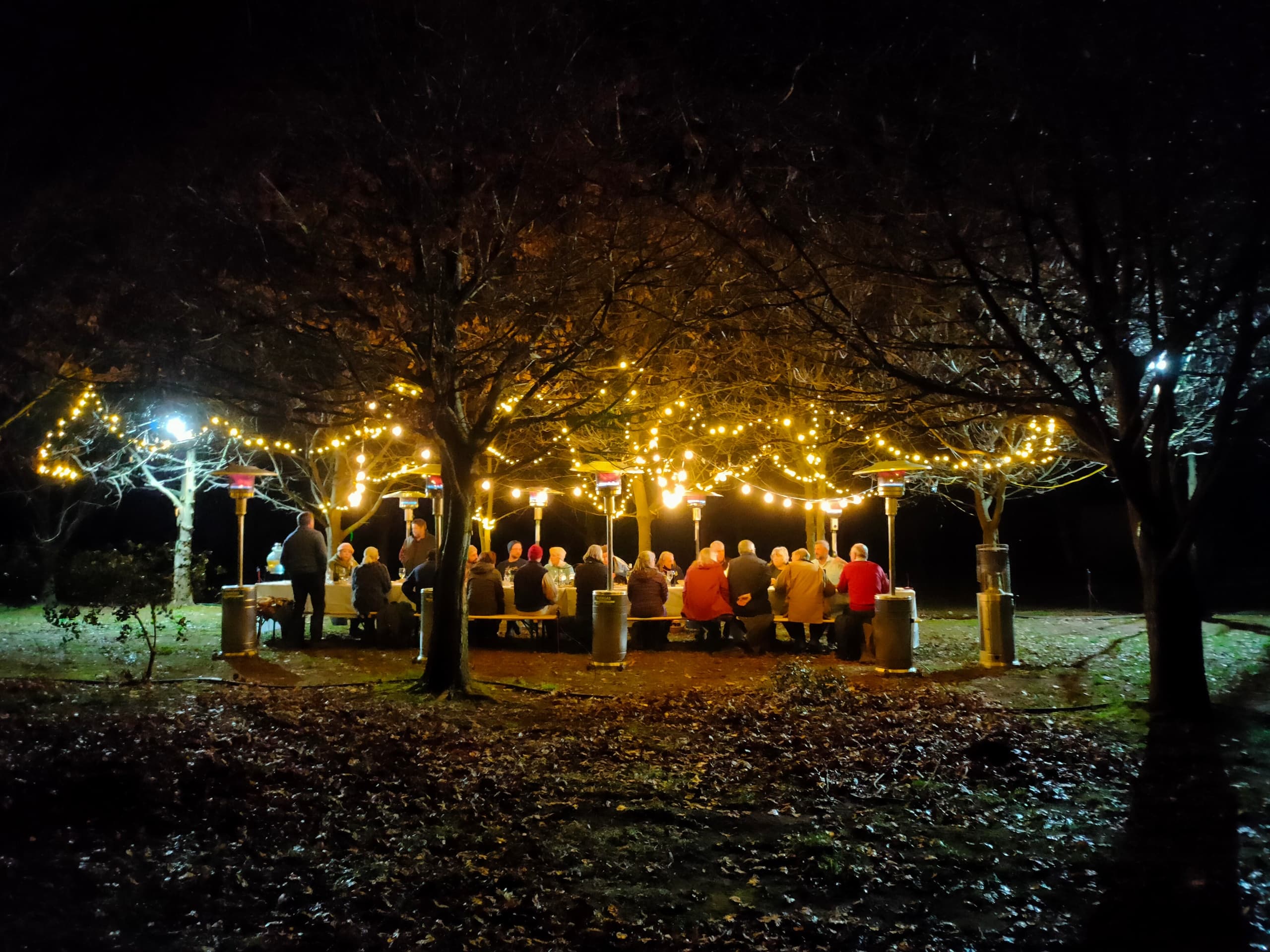 Nighttime outdoor dinner gathering under string lights in park