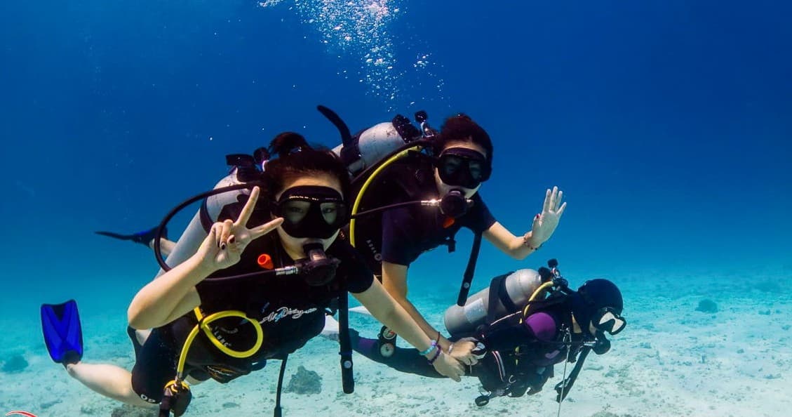 Discover Cancun's Underwater Wonders on the Beginners Diving Tour with Go Diving Cancun
