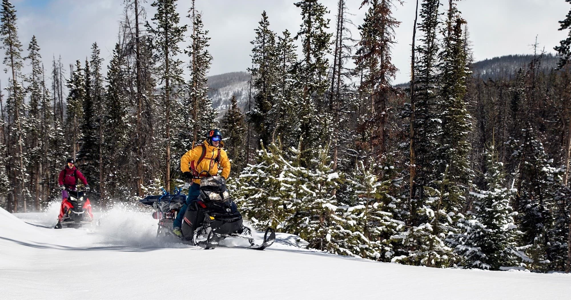 Thrilling Uinta Mountain Snowmobile Adventure in Evanston