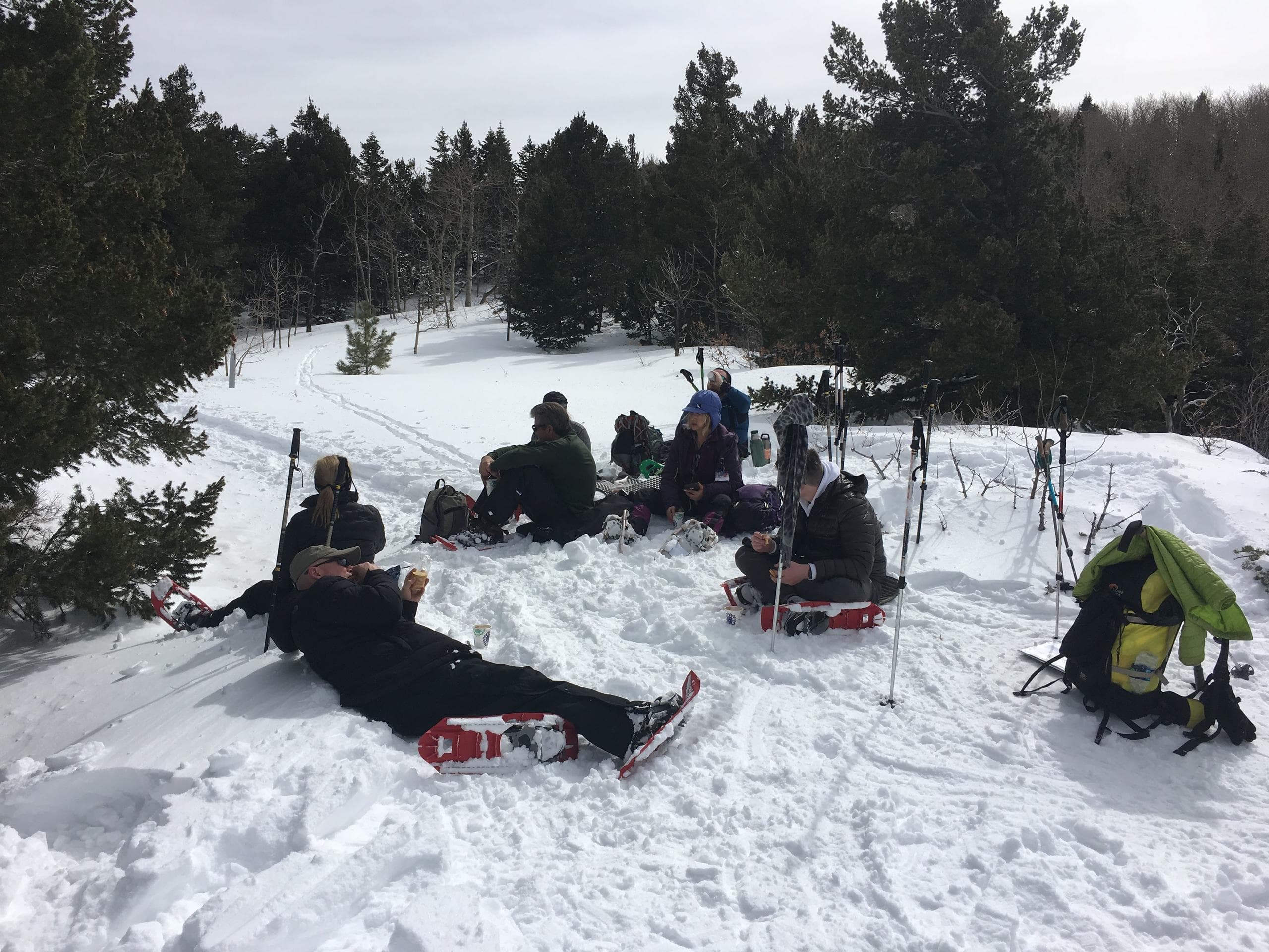 Valentine's Day Snowshoe & Fondue Tour in Albuquerque