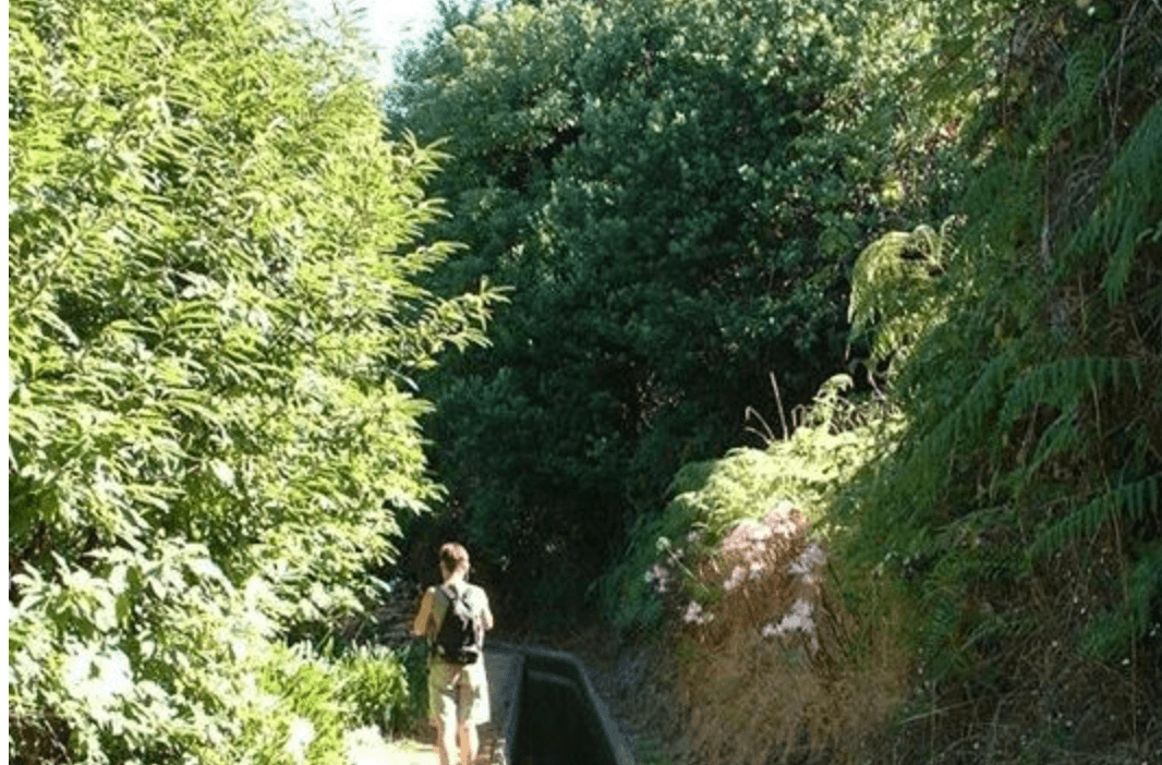Hiking in Madeira’s Prazeres Region with MB Tours