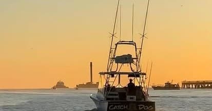 Afternoon Nearshore Shark Fishing from Port Canaveral photo 3
