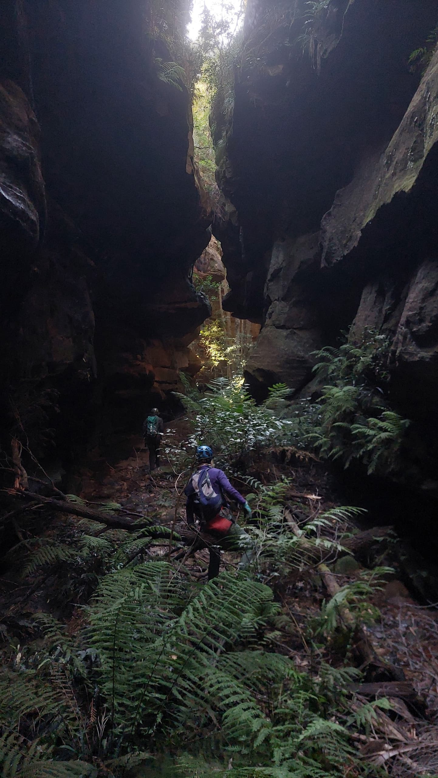 Canyoning in Wollemi: Gobsmacker Canyon Adventure by Wollemi Wanders
