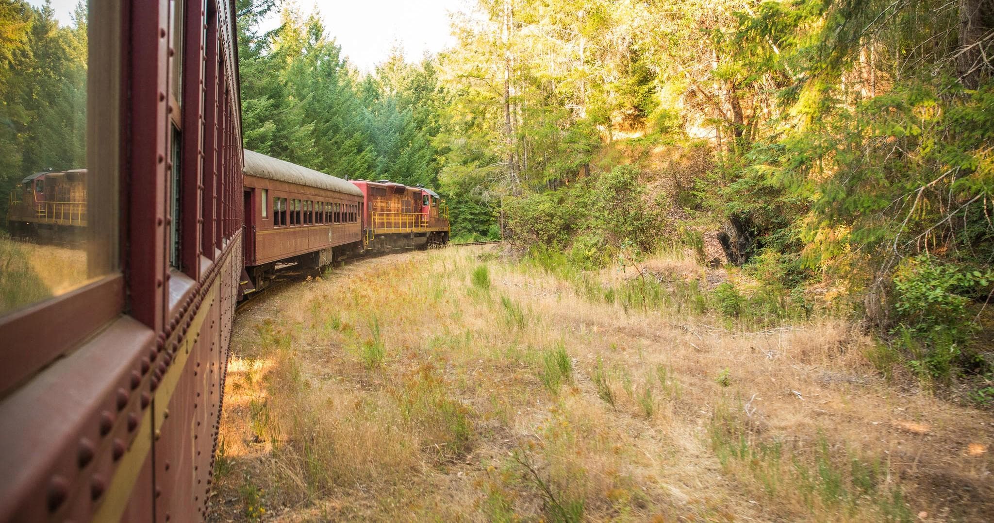 Wolf Tree Turn Train Ride in Willits, California