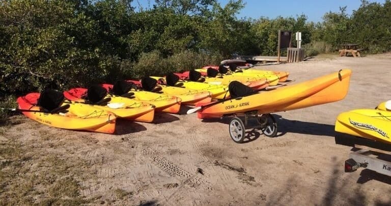 Kayak Rentals with Kayak Eco Tours LLC in Arcadia, Florida