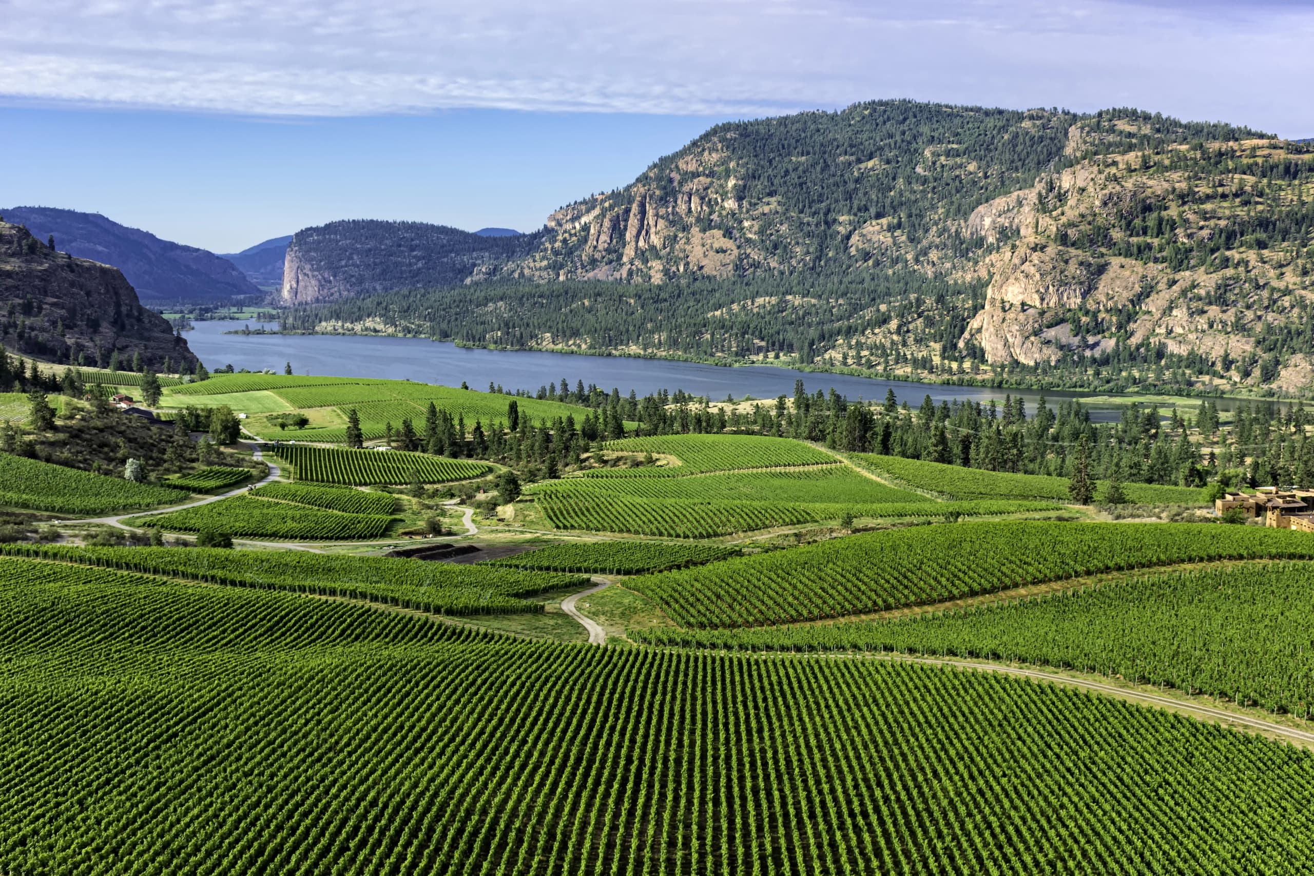 sparkling-south-okanagan-ok-falls-oliver-sparkling-wine-tour