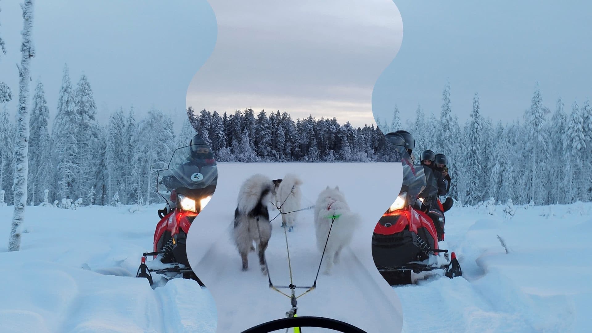 Private Arctic Day in Posio: Snowmobile, Kota Lunch & Husky Sledding