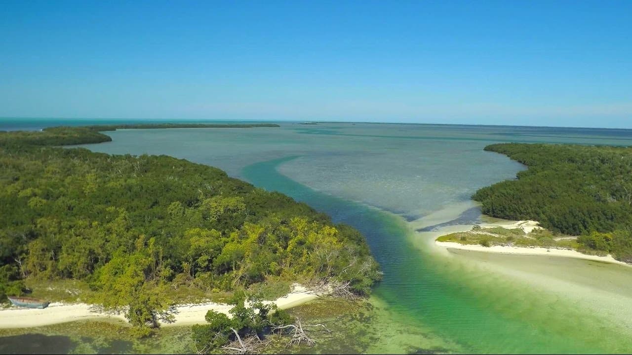 Discover the Marquesas Keys Private Adventure in Florida
