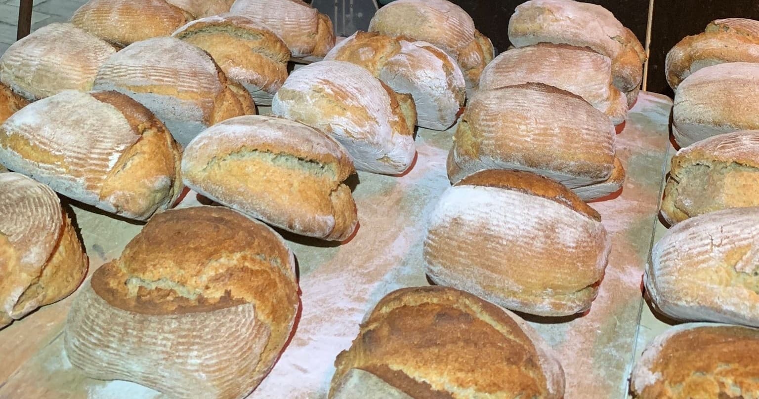 Mafra Bread Making Experience | Farm in Encarnação | Workshop