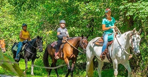 Private Western Riding Lesson in Virginia's Shenandoah