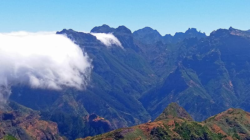 Madeira West Tour: Off-Road Paúl da Serra, Fanal Forest & Poncha Tasting photo 3