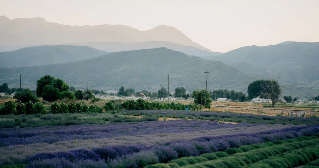 Late Spring Field Trip at Blue Canyon Farm — Daffodils, Fairy Gardens & Egg Hunts Near Heber City