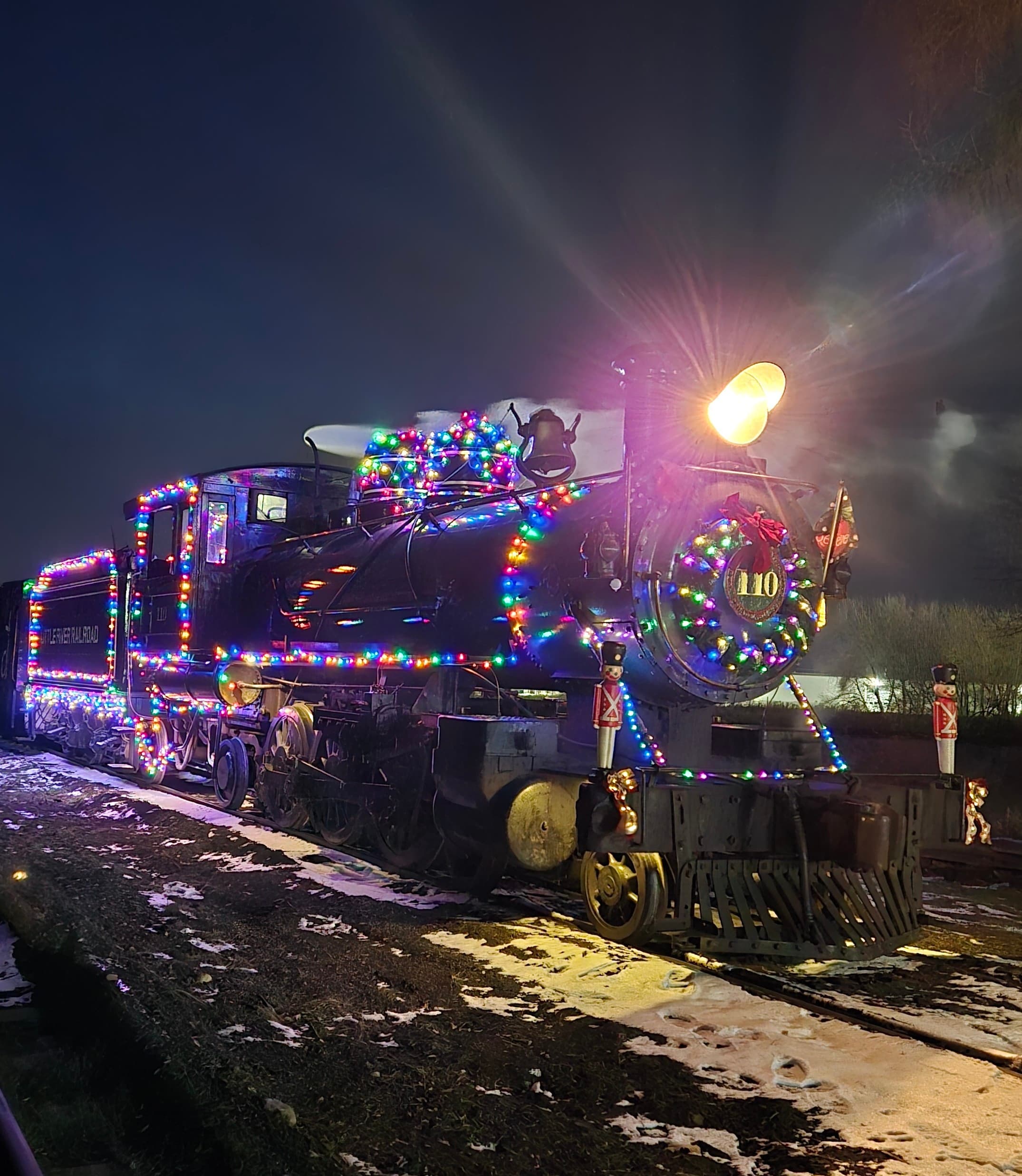 Historic Train Rides with Little River Railroad in Coldwater, MI
