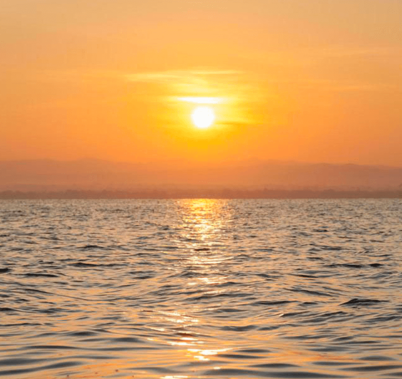 Sunrise Dolphin Watching off Magaluf: Early-Morning Boat Trip to See Wild Dolphins photo 1