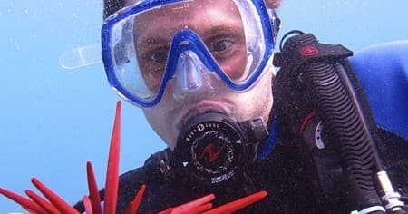 Water Activities at Wailea Scuba, Surf & Paddle