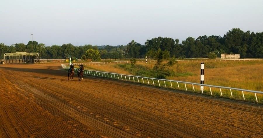 Behind the Lines at HighPointe: Inside a 235-Acre Thoroughbred Farm in La Grange