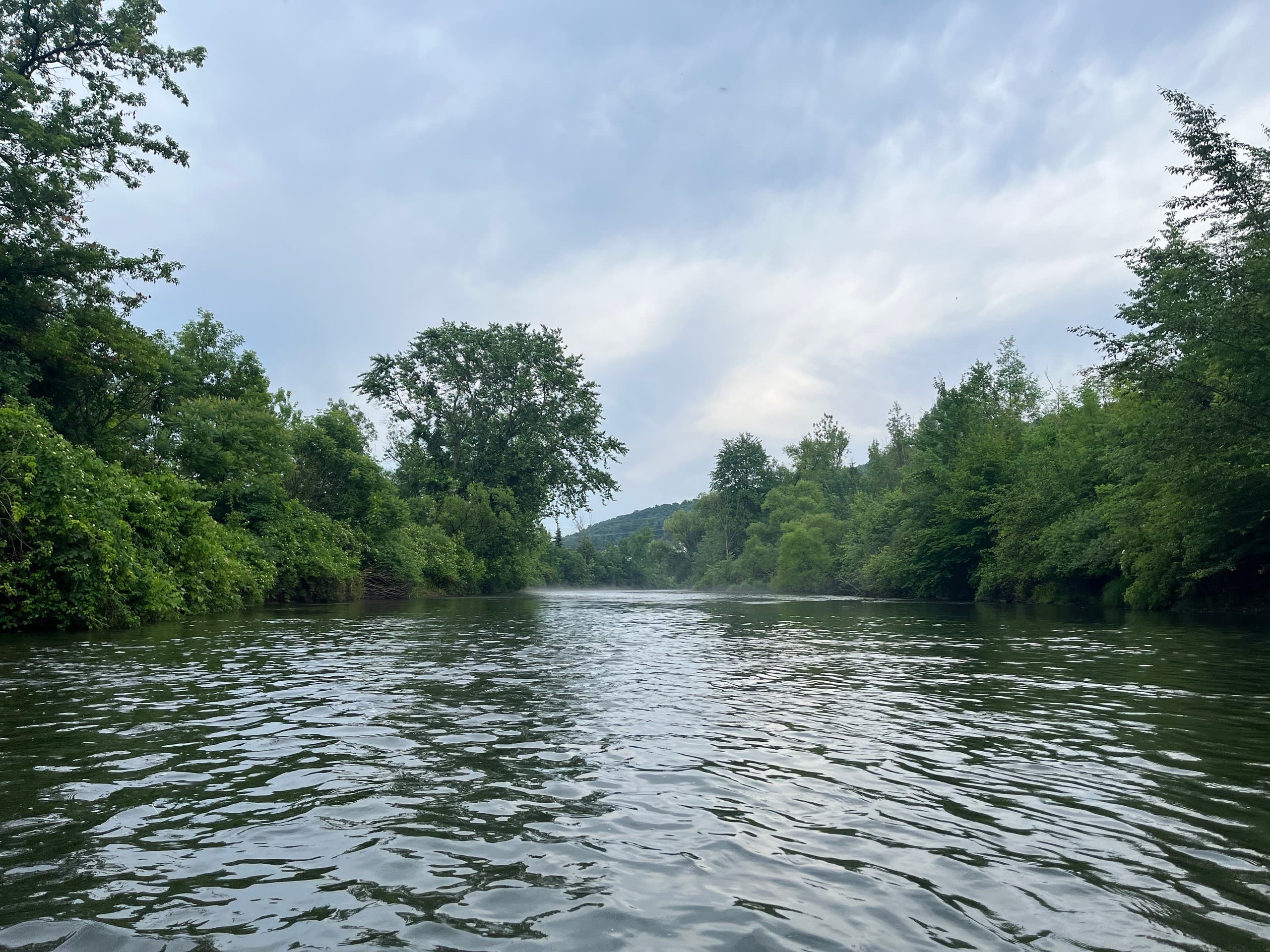 Paddle the Clarion River: 16-Mile Wilcox-to-Ridgway All-Day Adventure