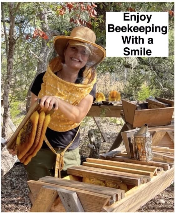Beekeeping Workshop in Driftwood by Bee Mindful