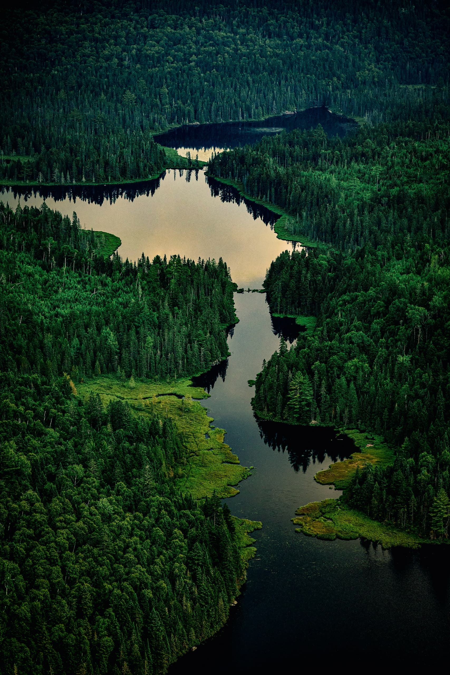 Helicopter Tasting Tour Over Parc national de la Mauricie — Flight, Landing & Local Flavors