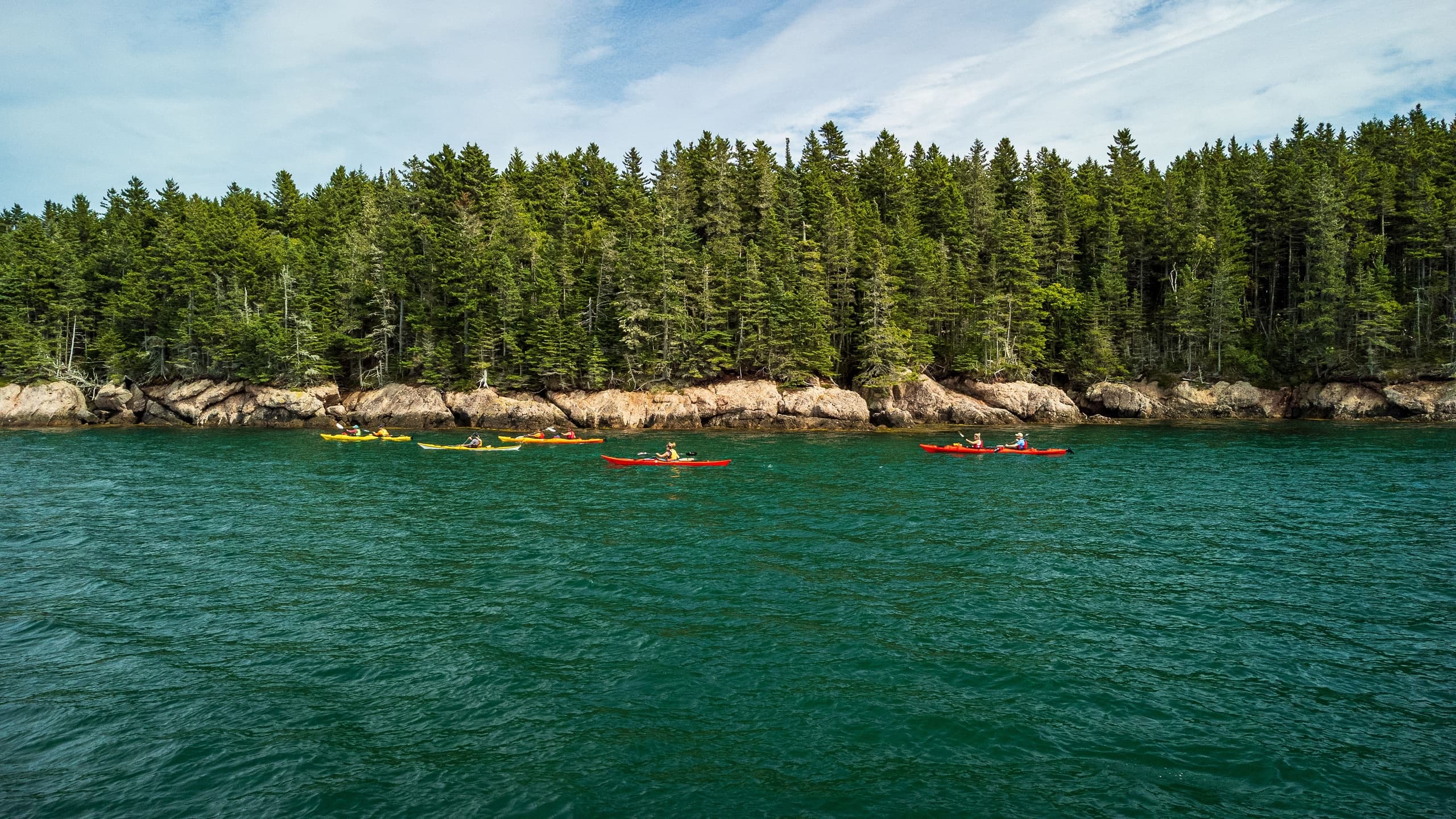 Fundy Isles Sea Kayaking Expedition: 3-Day Guided Kayak Trip from Saint Martins photo 3