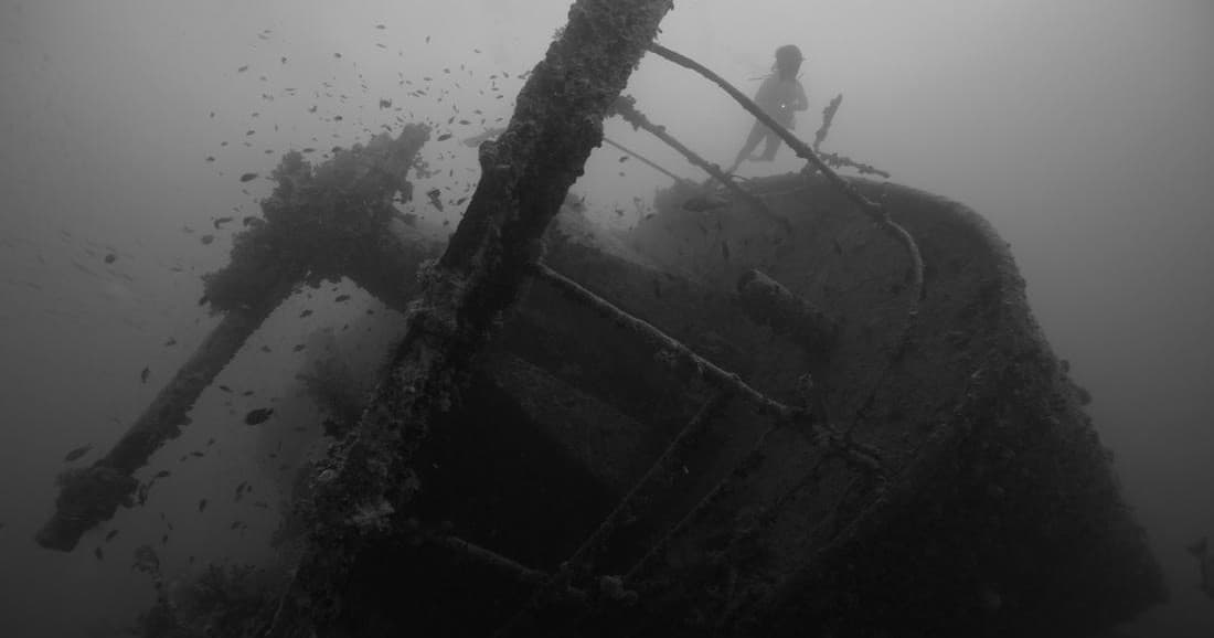 Key Biscayne 2-Tank Dive Trip: Explore Coral Reefs Off Miami